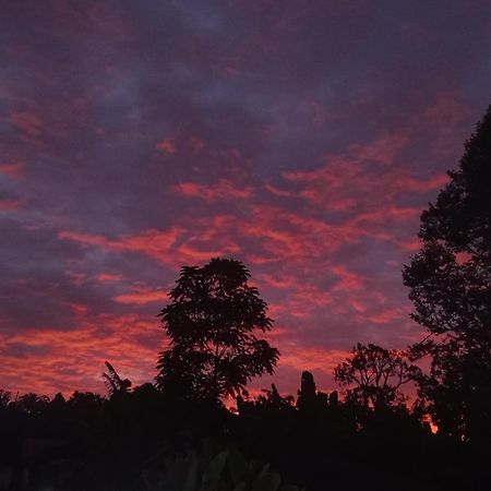 Tapian Ratu Camp Real Bukittinggi Exteriér fotografie